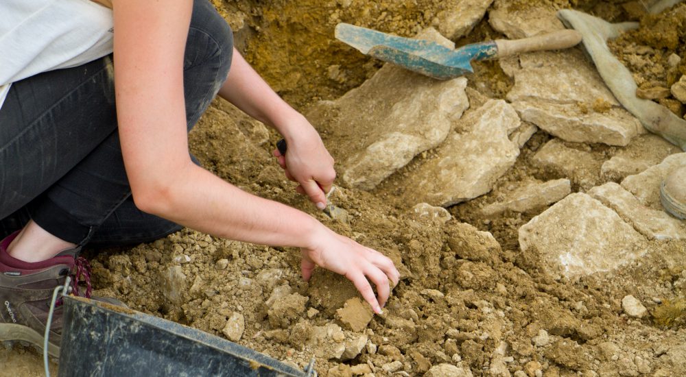 Journées nationales de l'archéologie Activité de fouille archéozoologique.